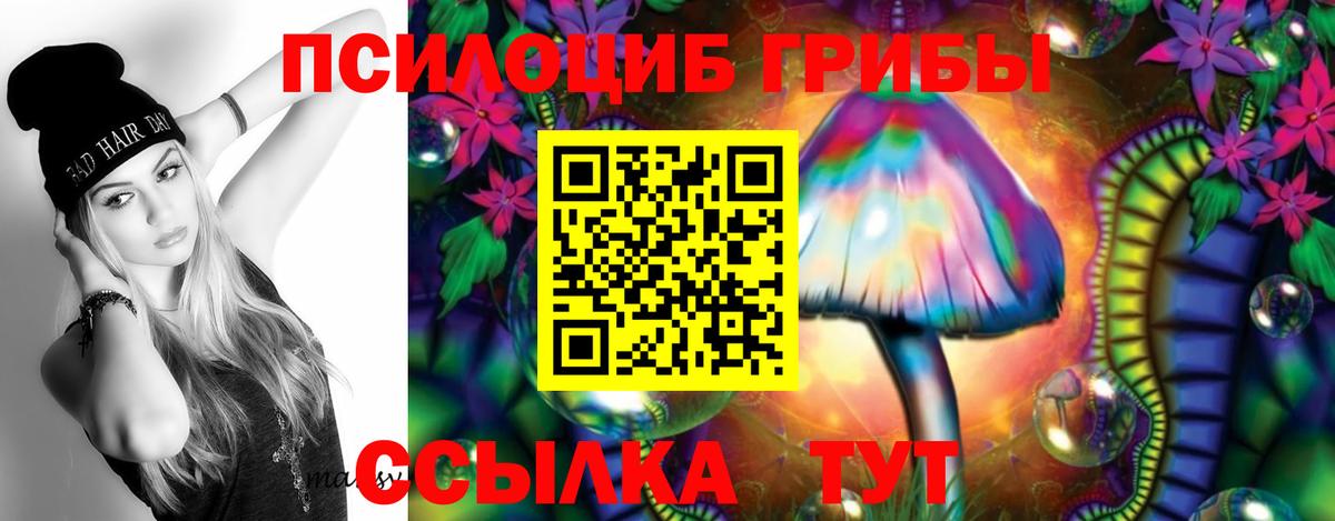 Псилоцибиновые грибы Cubensis Тверь