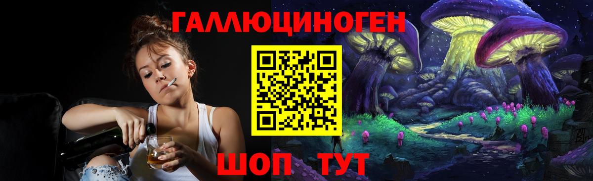 Псилоцибиновые грибы Psilocybe  Вход с VPN  Тверь 